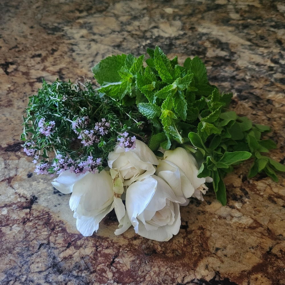 Orchid & Vine Live Shows! Like this Listing https://posh.mk/p4xqkonnY5b - Picture 9 of 13